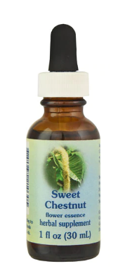 Flower Essence Sweet Chestnut Supplement Dropper  1 fl oz