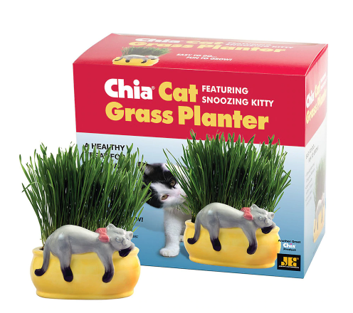 CHIA Handmade Decorative Grass Planter 1.0ea